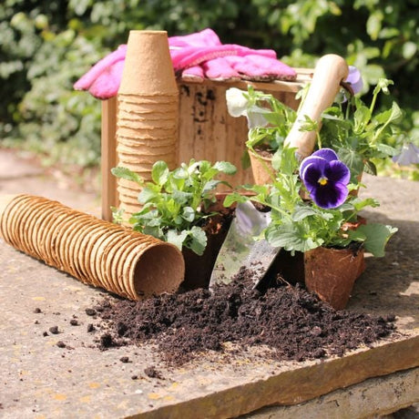 Wood fibre pots displayed alongside gardening tools and soil, with a focus on biodegradable planting pots.