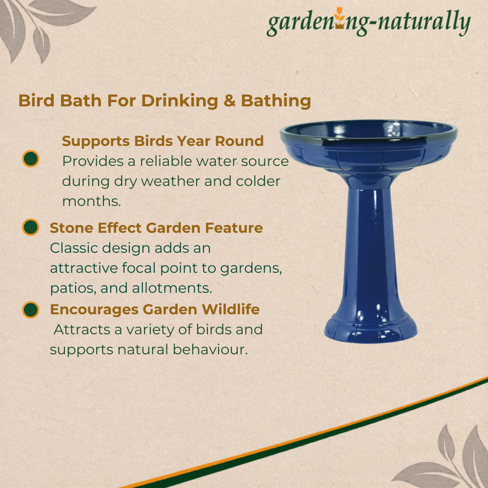 Blue bird bath with features listed on a beige background