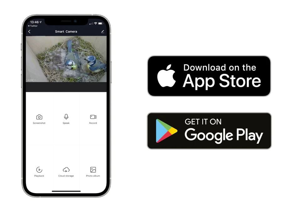Bird box camera view on app.