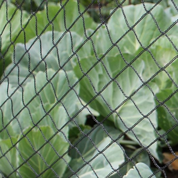 Black bird netting for fruit and vegetables