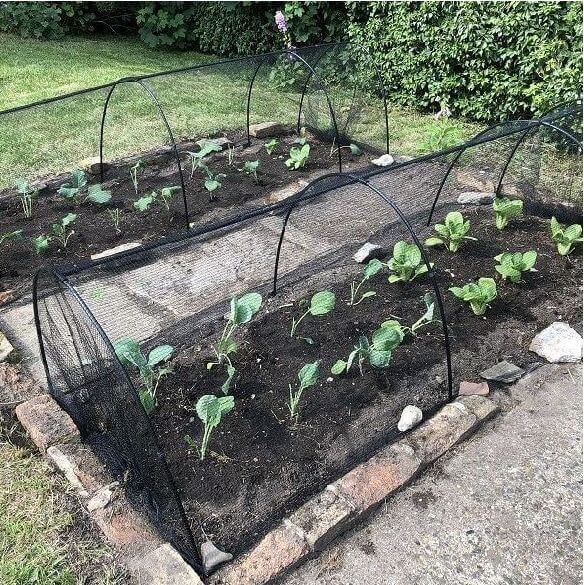 black butterfly netting over garden hoops