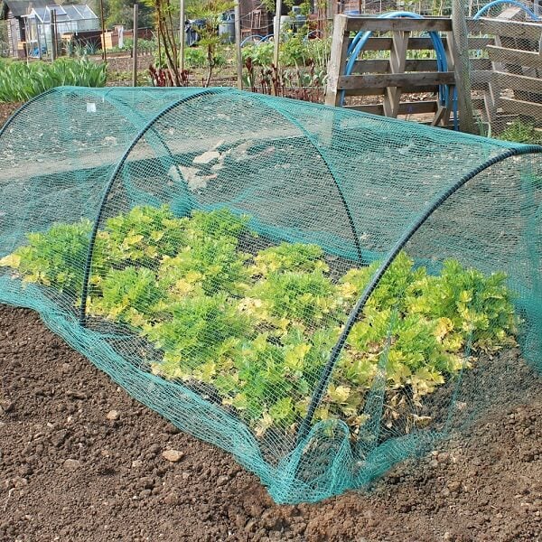 black garden hoops with green netting over vegetables