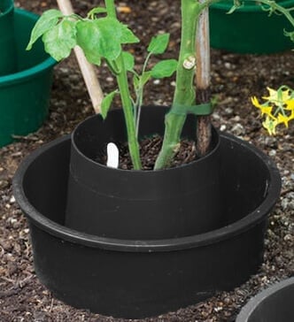 Black growpot with plant in soil in garden