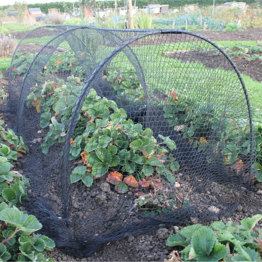 A black modular hoop tunnel kit used in a garden, covering plants and providing support.