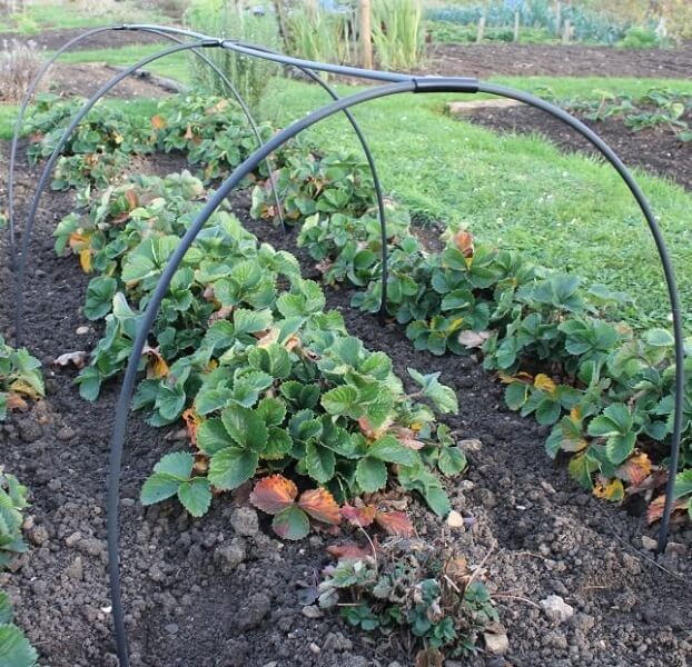 A black PVC garden hoop structure set