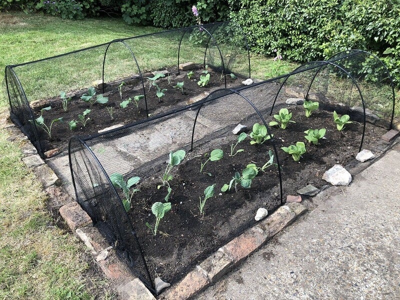 A black PVC garden hoops