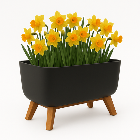 Black planter with yellow flowers on a white background
