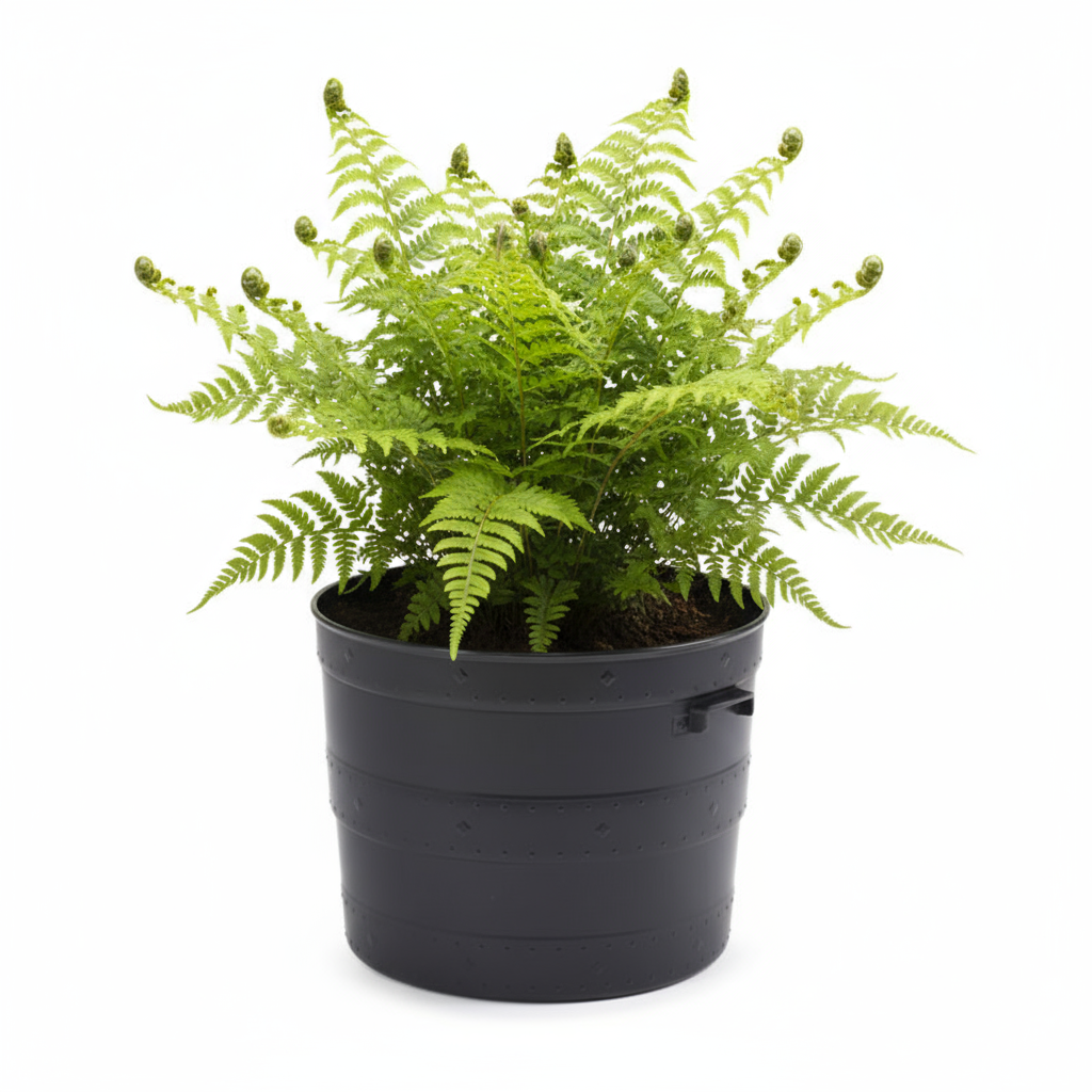 A black plastic garden planter designed to resemble a blacksmith tub with side handles.