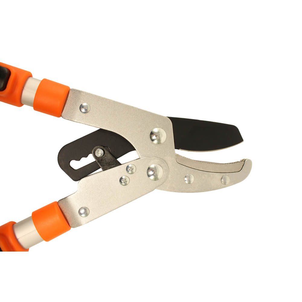 anvil loppers blade side view