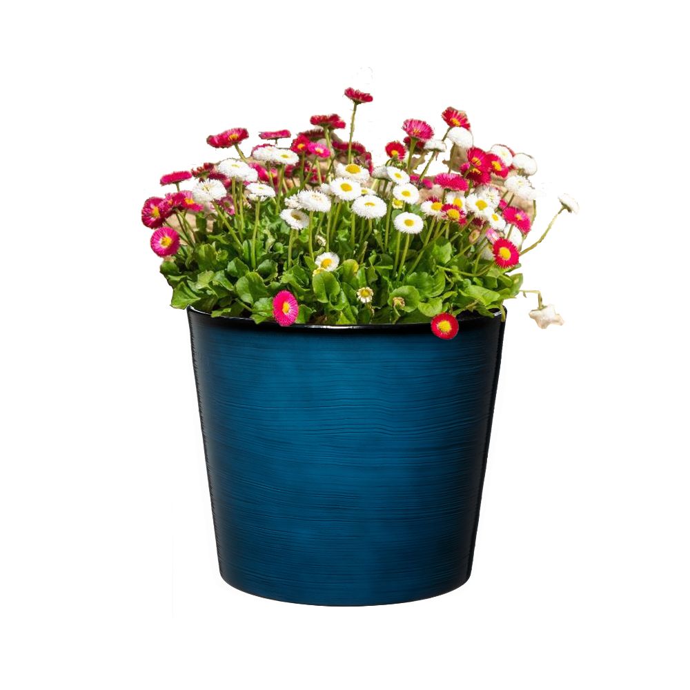 blue garden pot with flowers in white background