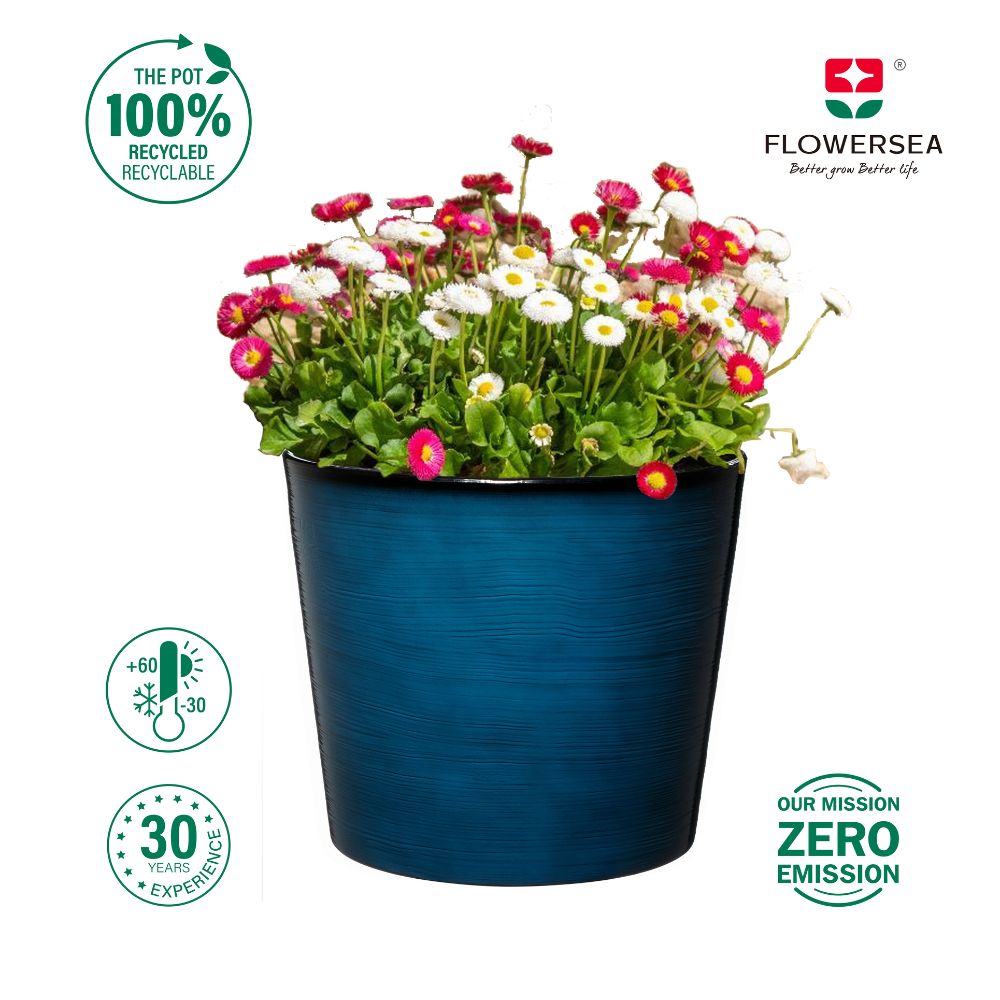 Blue pot with flowers and Flowersea branding on a white background