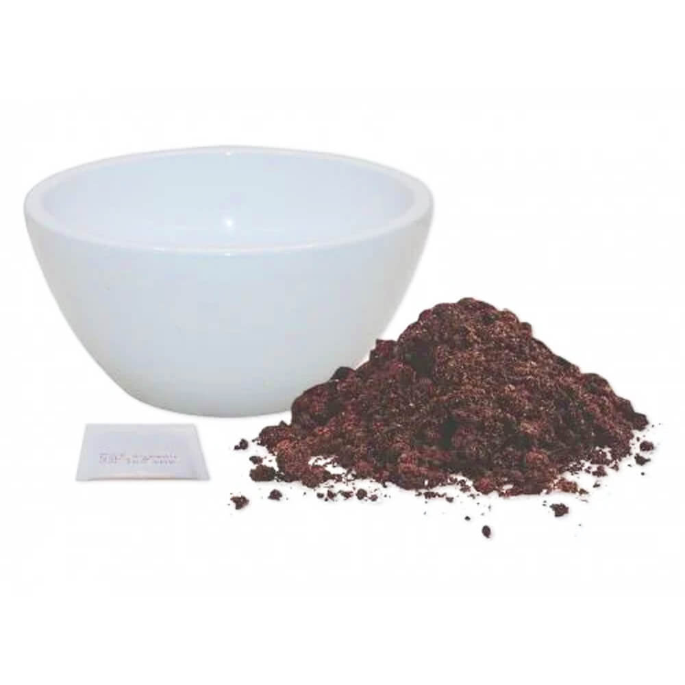 Cactus growing kit, bowl with soil and seeds