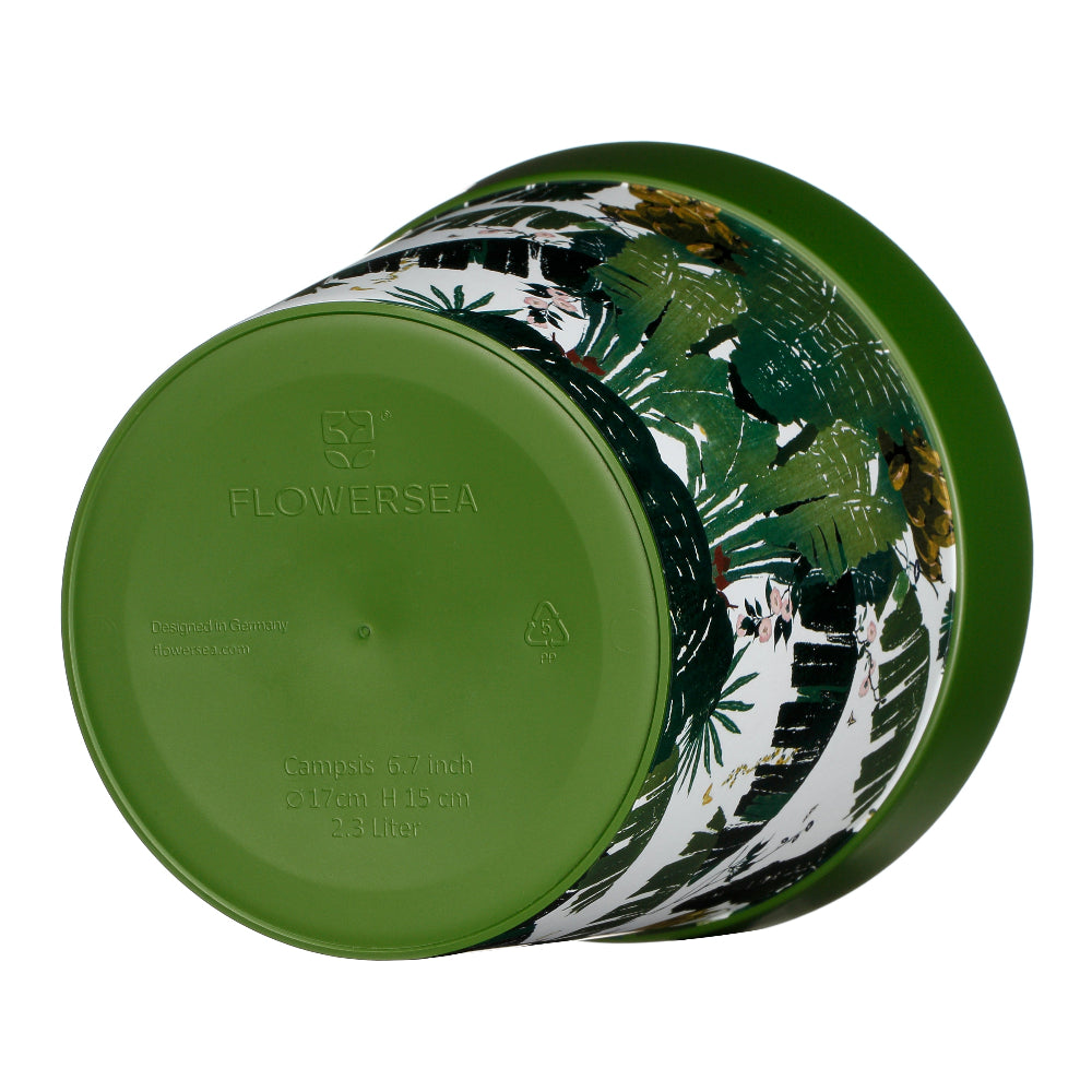bottom of the jungle plant pot