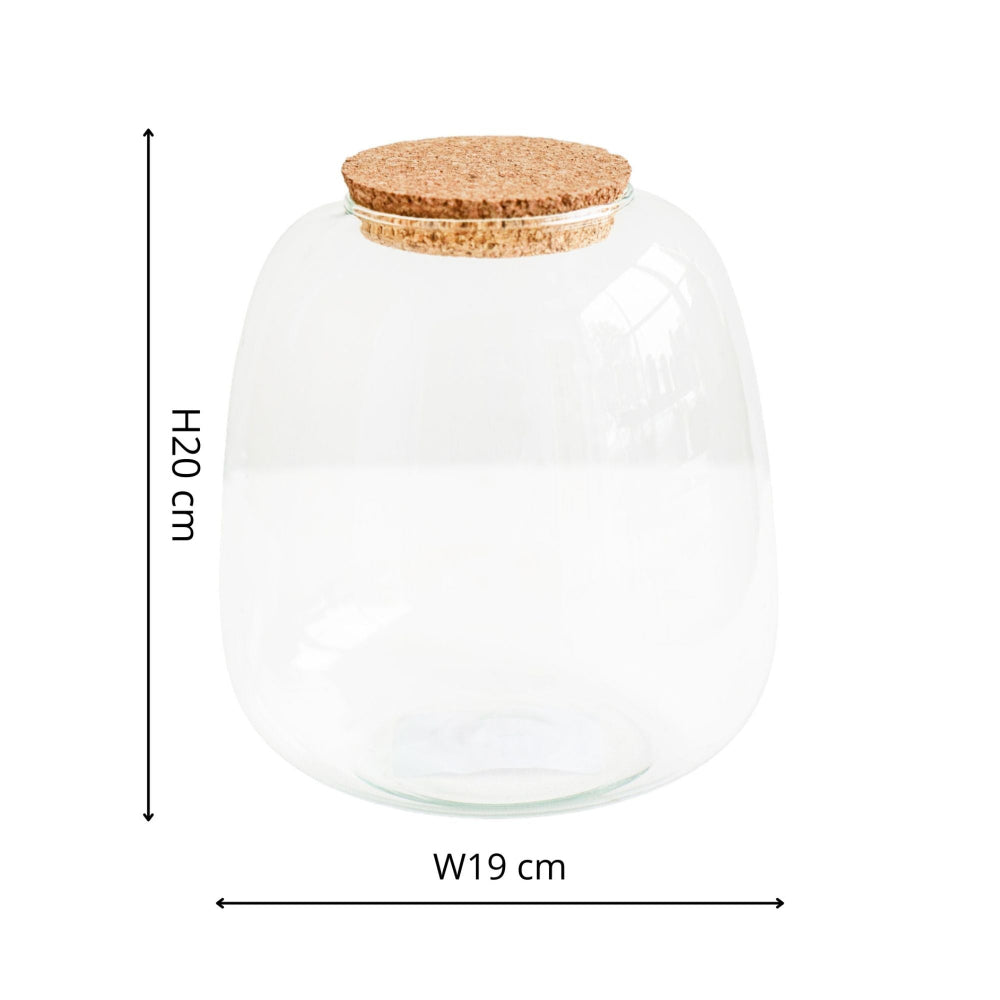 dimensions for the glass bowl shape terrarium