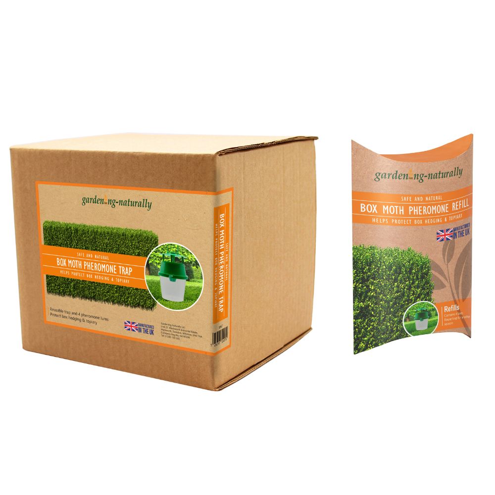 box moth trap and refill