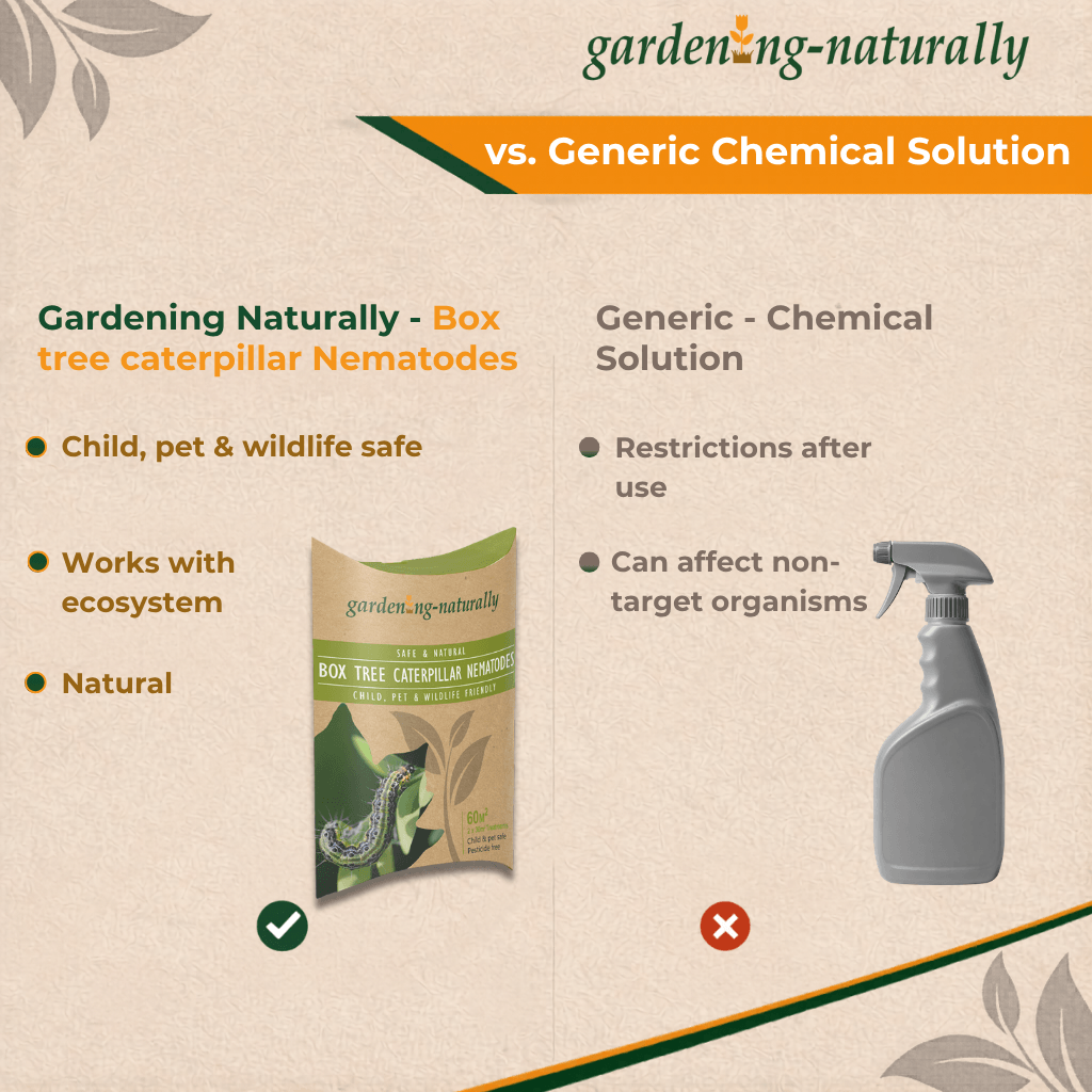 Comparison chart between Gardening Naturally box tree caterpillar nematodes and a generic chemical solution on a beige background.