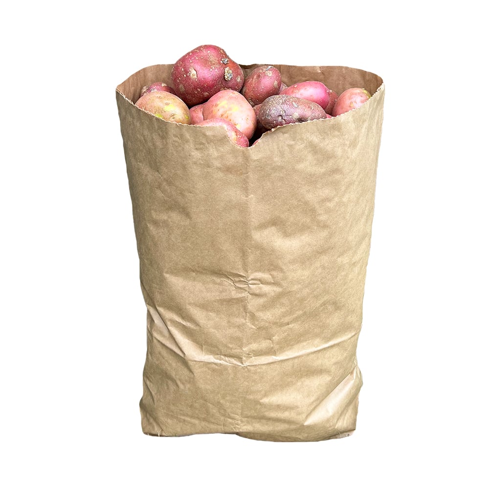 A brown paper potato sack filled with red potatoes, placed outdoors against a backdrop of green leaves.