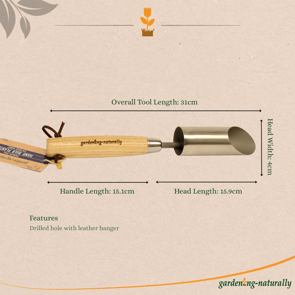 A bulb planter tool with dimensions and a cork background