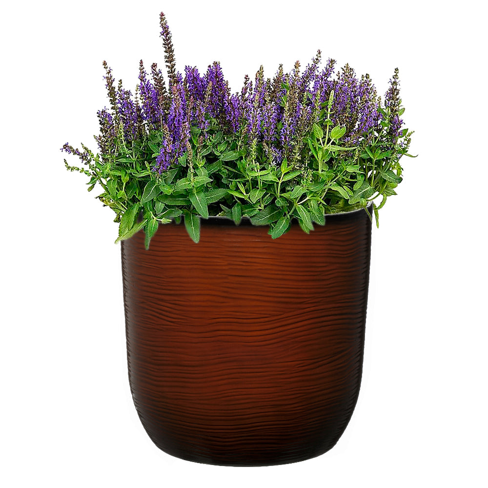 Brown planter with purple flowers on a white background