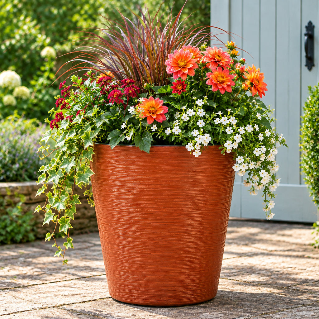 Burnt orange pot flowers outside