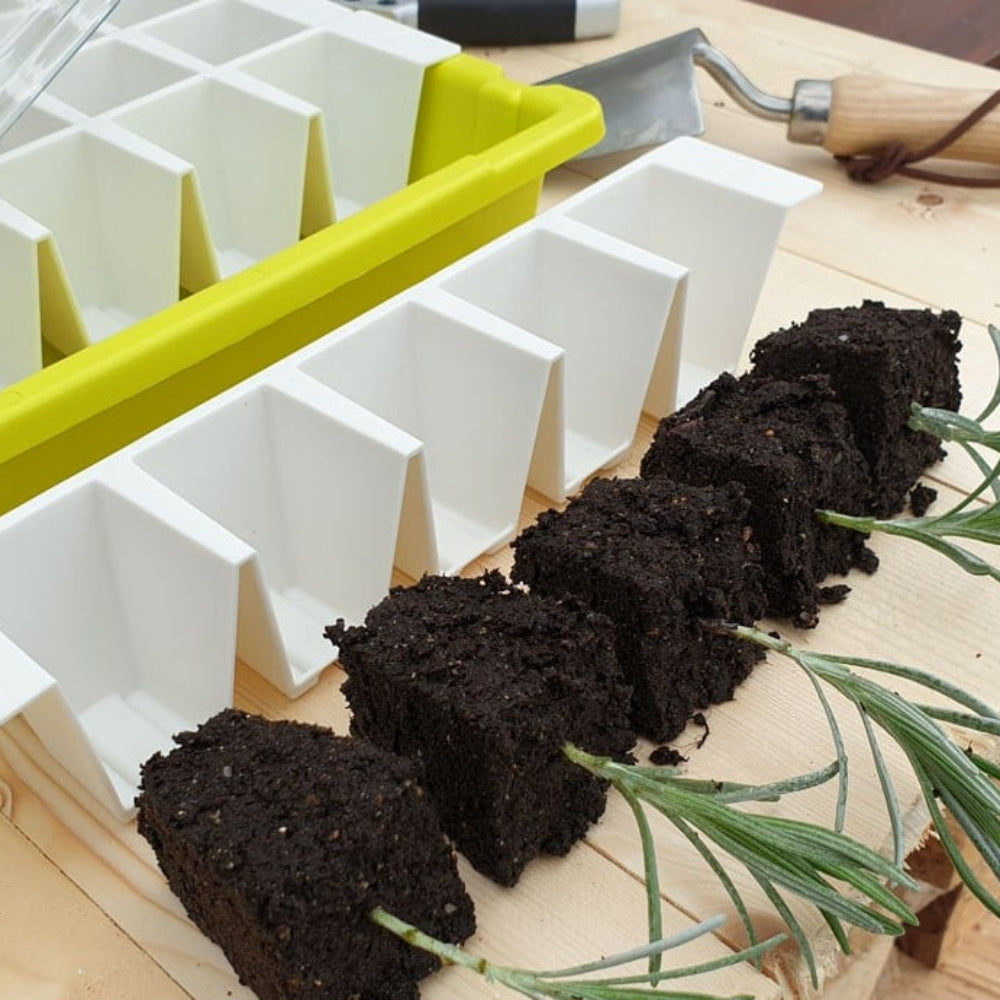 propagation pots and seedlings