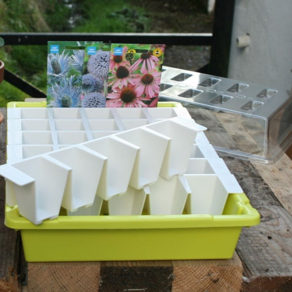 Bustaseed propagation set