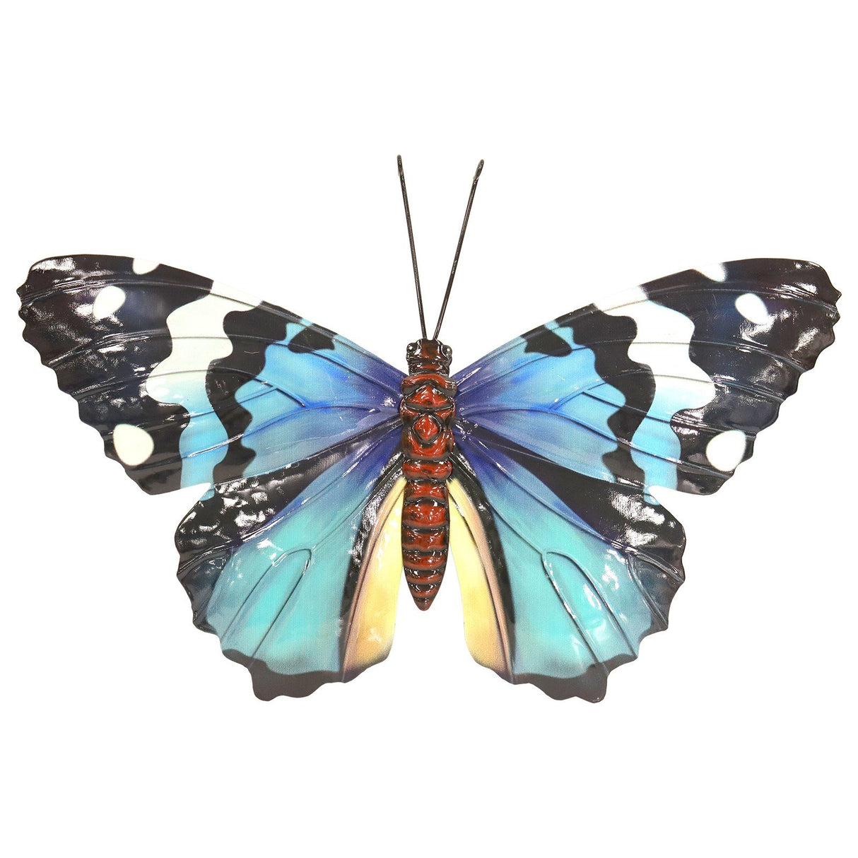 A Blue butterfly in different colors, with one in blue, one in orange