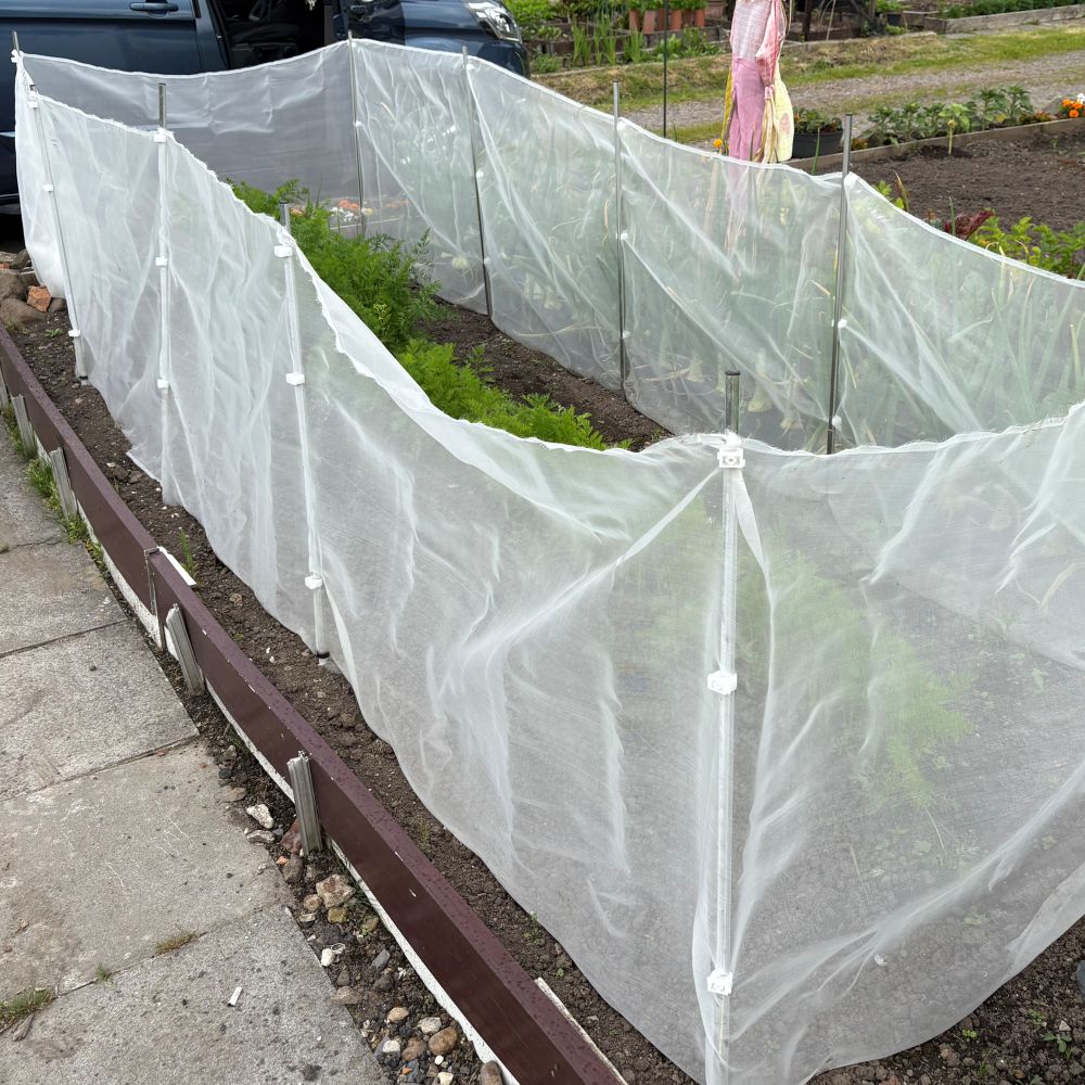 Carrot fence kits in an allotment