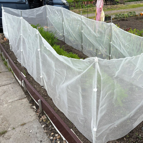 Carrot fence kits in an allotment