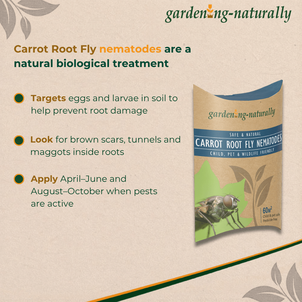 Gardening Naturally carrot root fly nematodes packaging with text on a beige background