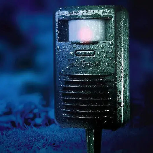 Electronic cat free repeller device covered in rain and in the dark