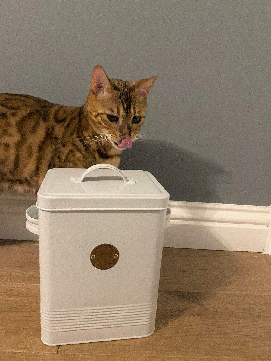 Cat food tin light grey with beautiful cat in background licking her lips