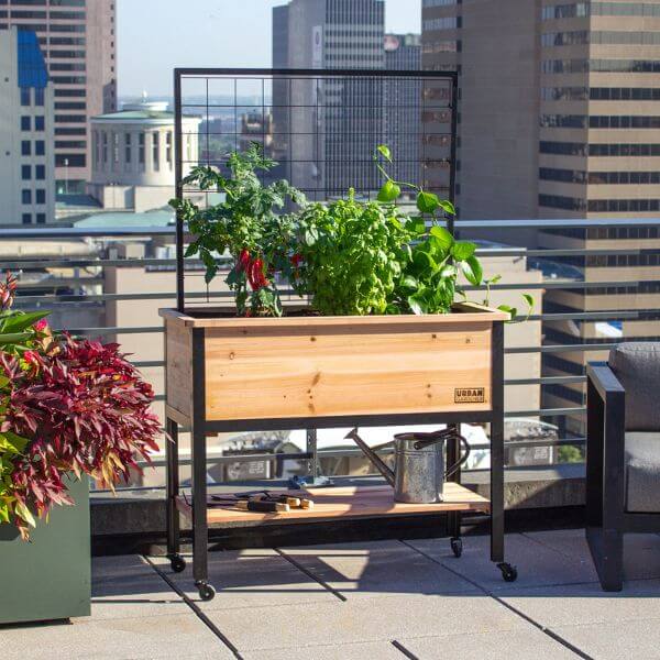 Cedar elevated planter with trellis on a balcony containing plants, with a cityscape in the background.