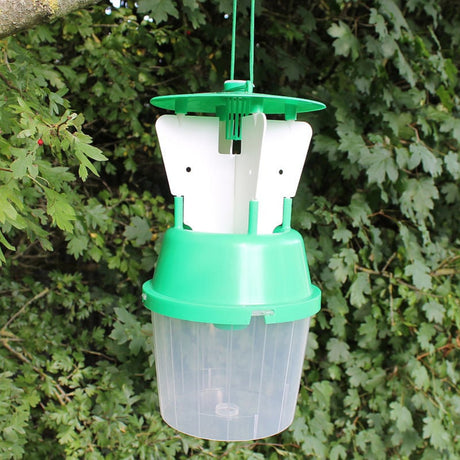 A green and white chafer beetle trap hanging from a chain