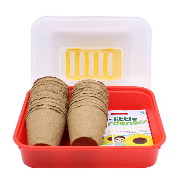 A red children's propagator with multiple brown cardboard pots and a packet of Little Leo sunflower seeds.