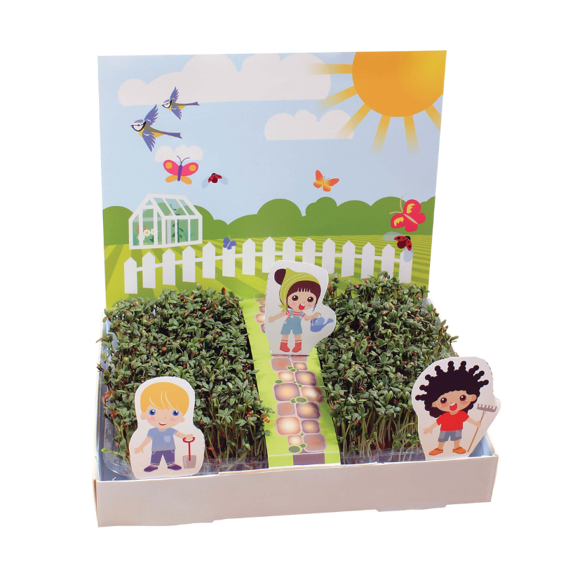 childs indoor cress garden