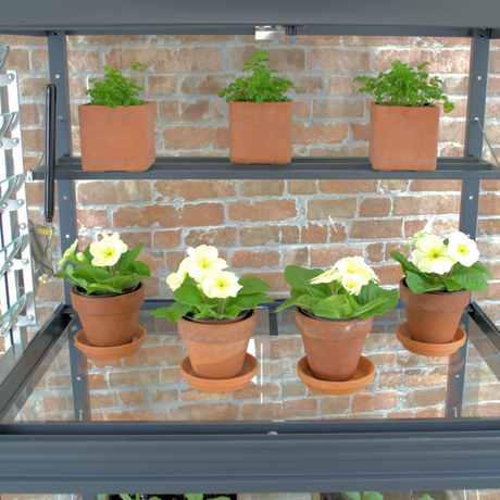 inside a small greenhouse with potted plants