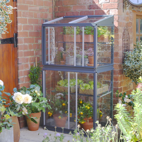 A small silver greenhouse with toughened safety glass, situated outdoors with plants inside. The greenhouse has a two-tier system and is made of aluminum with a transparent roof.