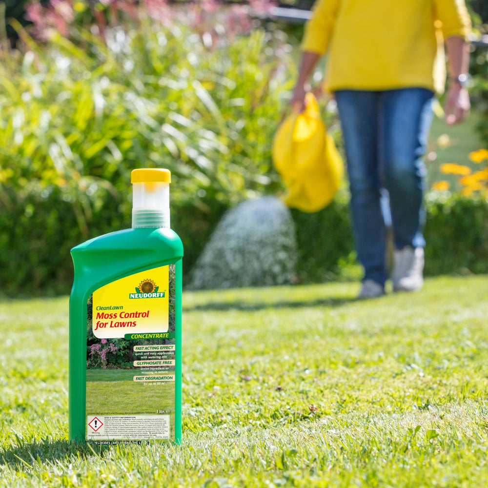 moss control for lawns