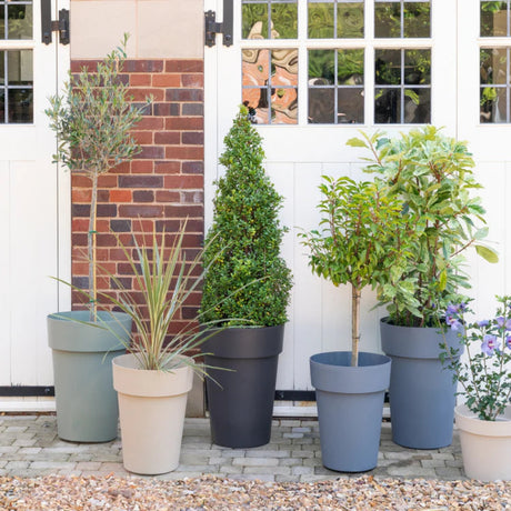 cleo high plant pot set outdoors in garden
