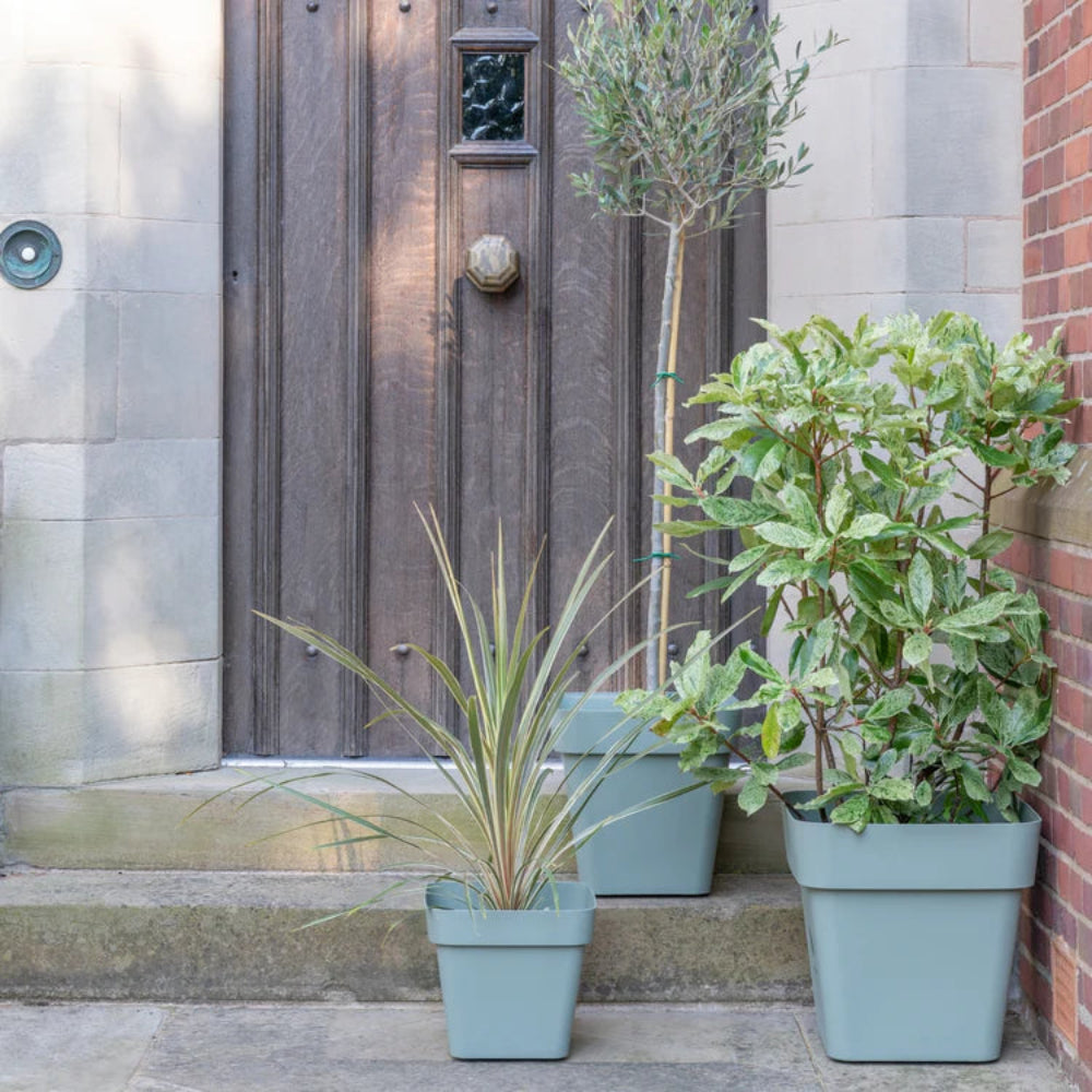 sage cleo square plant pots in garden