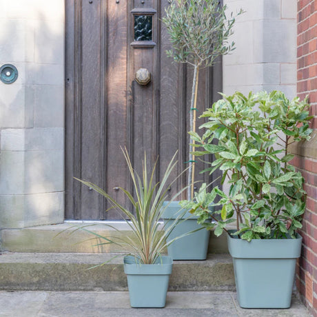sage cleo square plant pots in garden