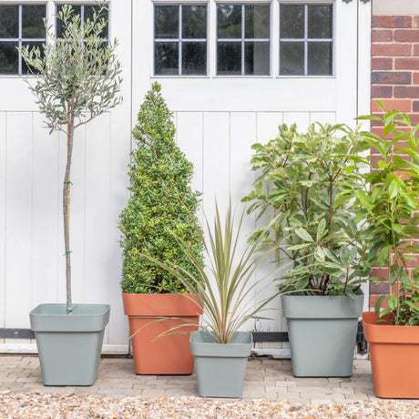 cleo square planter range in garden