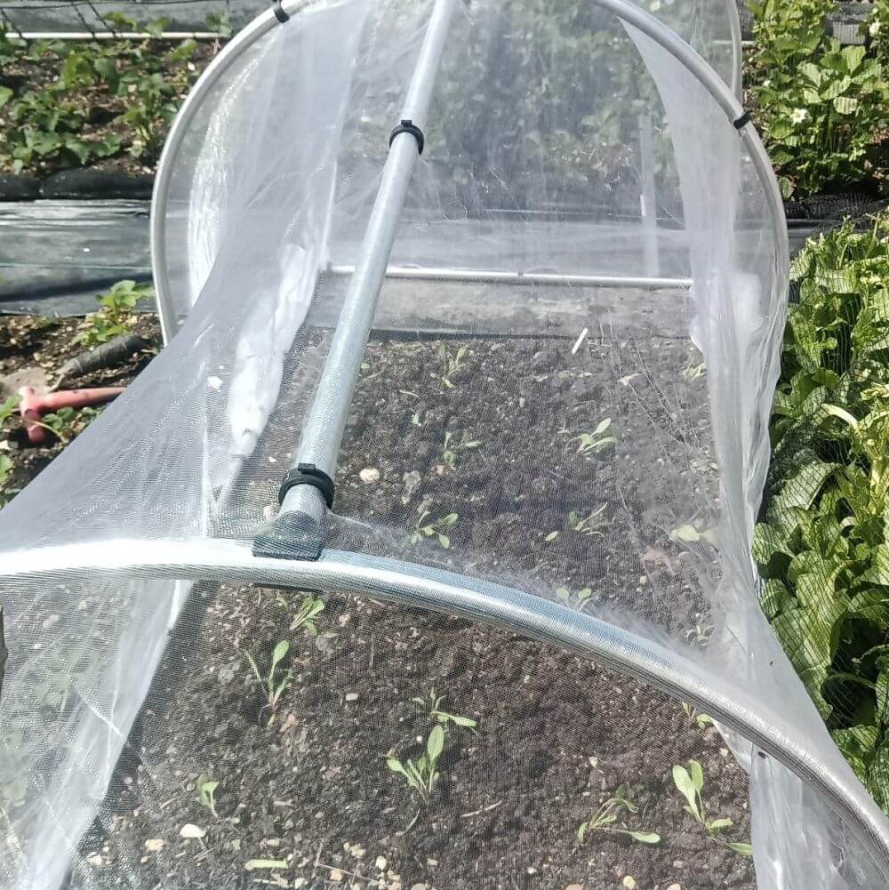 19mm Aluminium Hoop Clips for Plant Supports