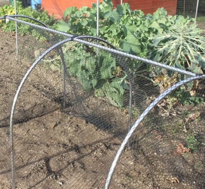 Garden Cloche support bar in use