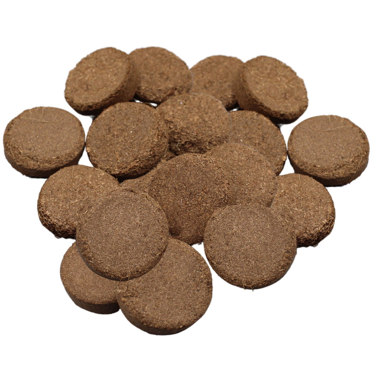 Coir Compost Discs – Soil Free Plant Base