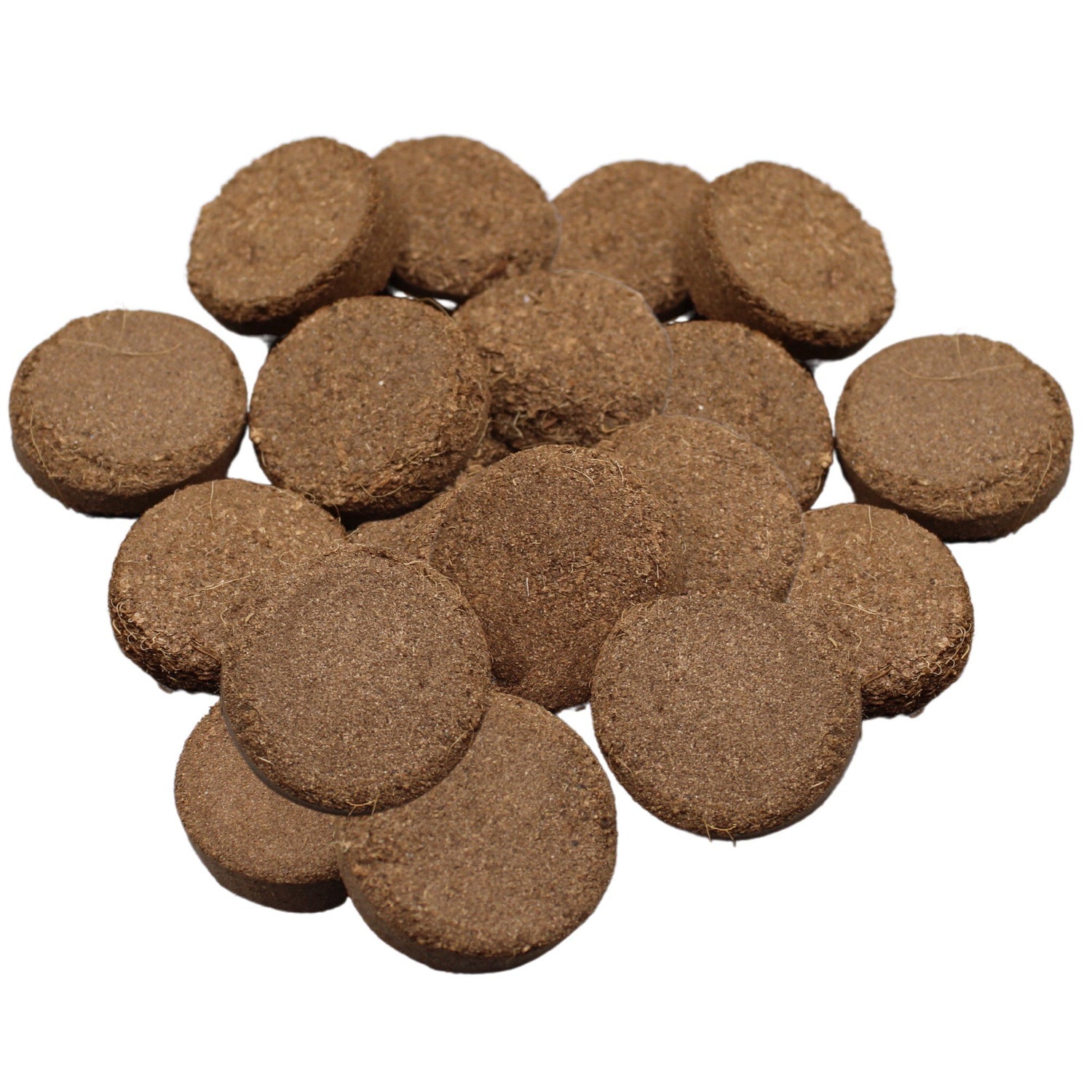 Coir Compost Discs – Soil Free Plant Base