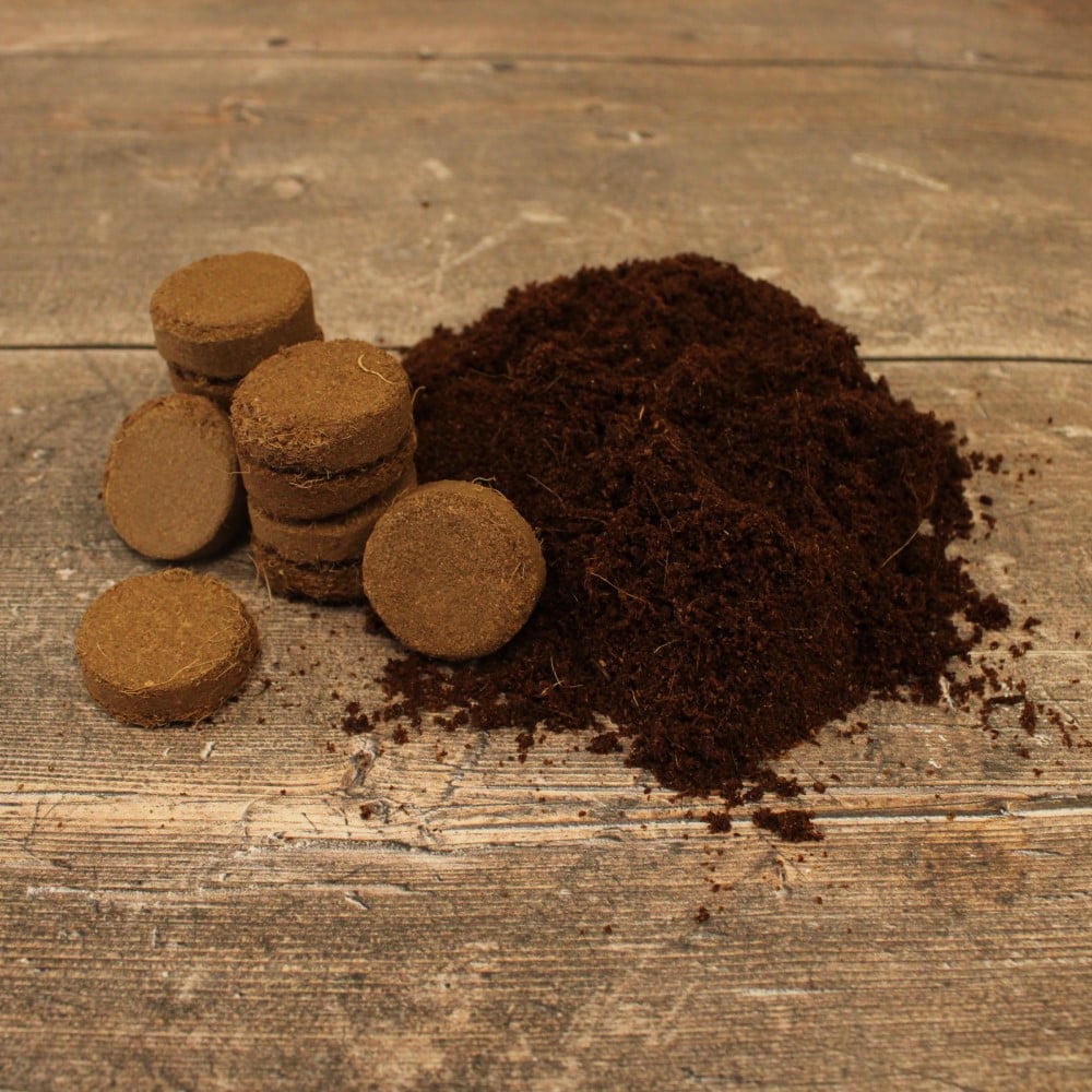 Coir Compost Discs – Soil Free Plant Base
