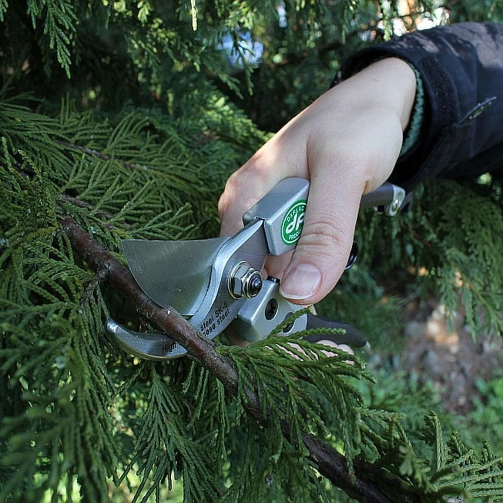 Compact pruner cutting branch on tree in garden