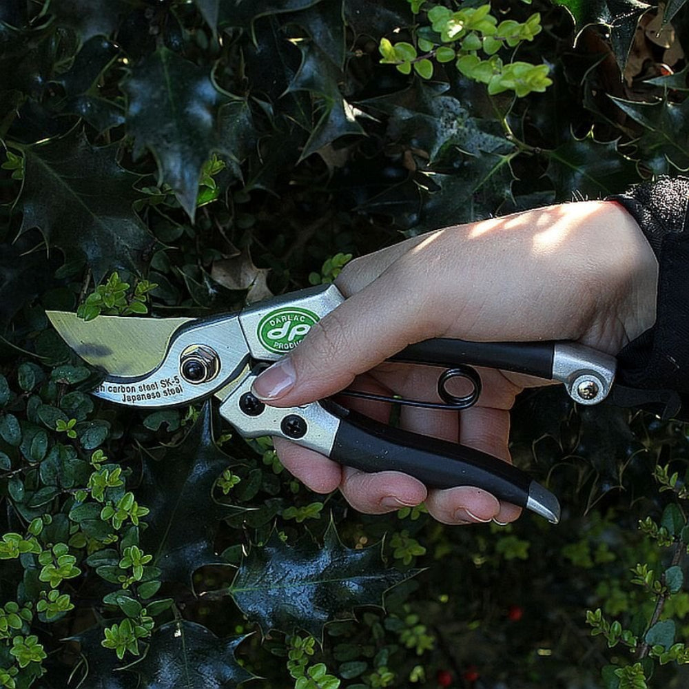 Compact Pruner – Mini Garden Shears